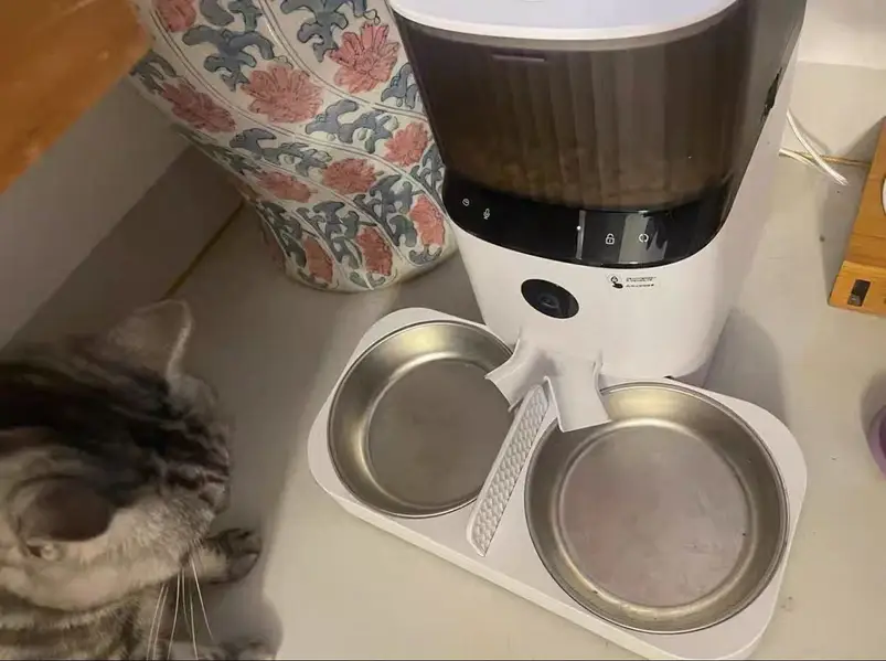 Pet Smart Automatic Feeder Cat & Dog Feeder Station — photo 3