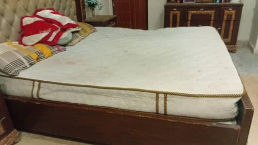 Master Molty Foam