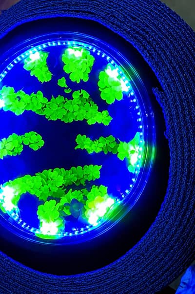 LED Garden Decor Table || Coffee Table
