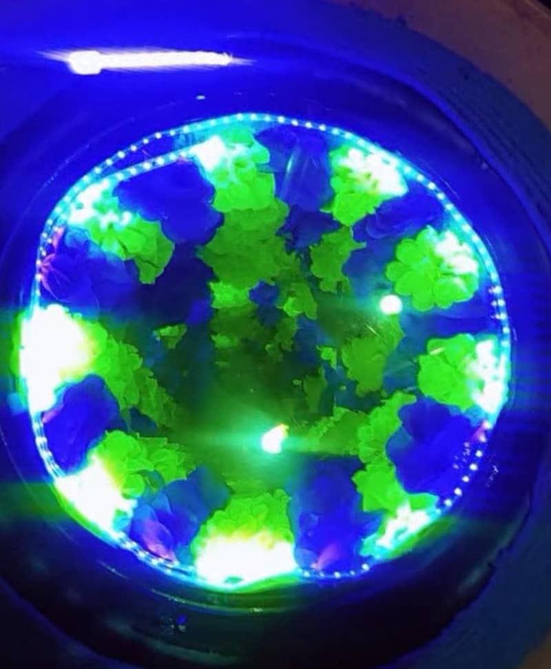 LED Garden Decor Table || Coffee Table 8