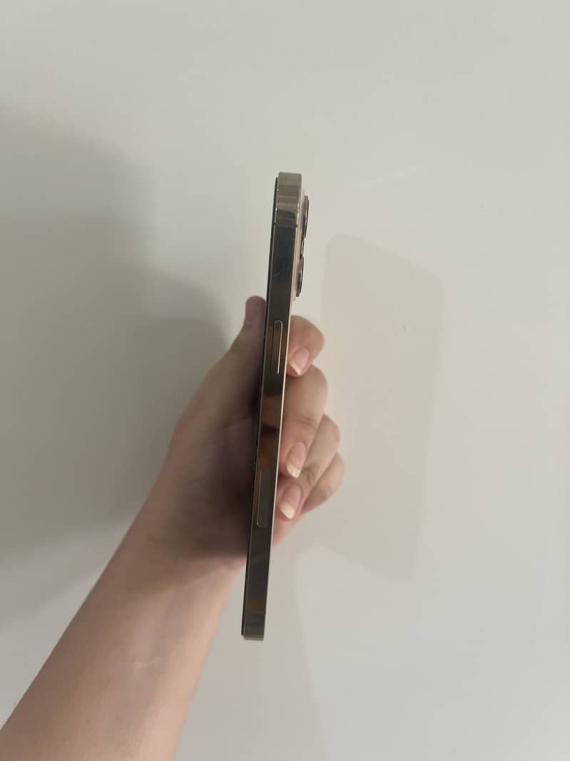 Apple iPhone 12 Pro Max 1