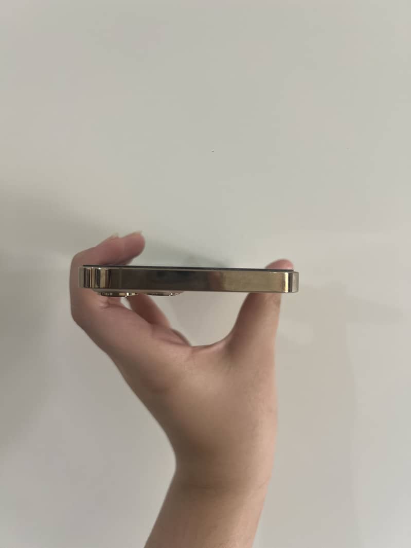 Apple iPhone 12 Pro Max 2