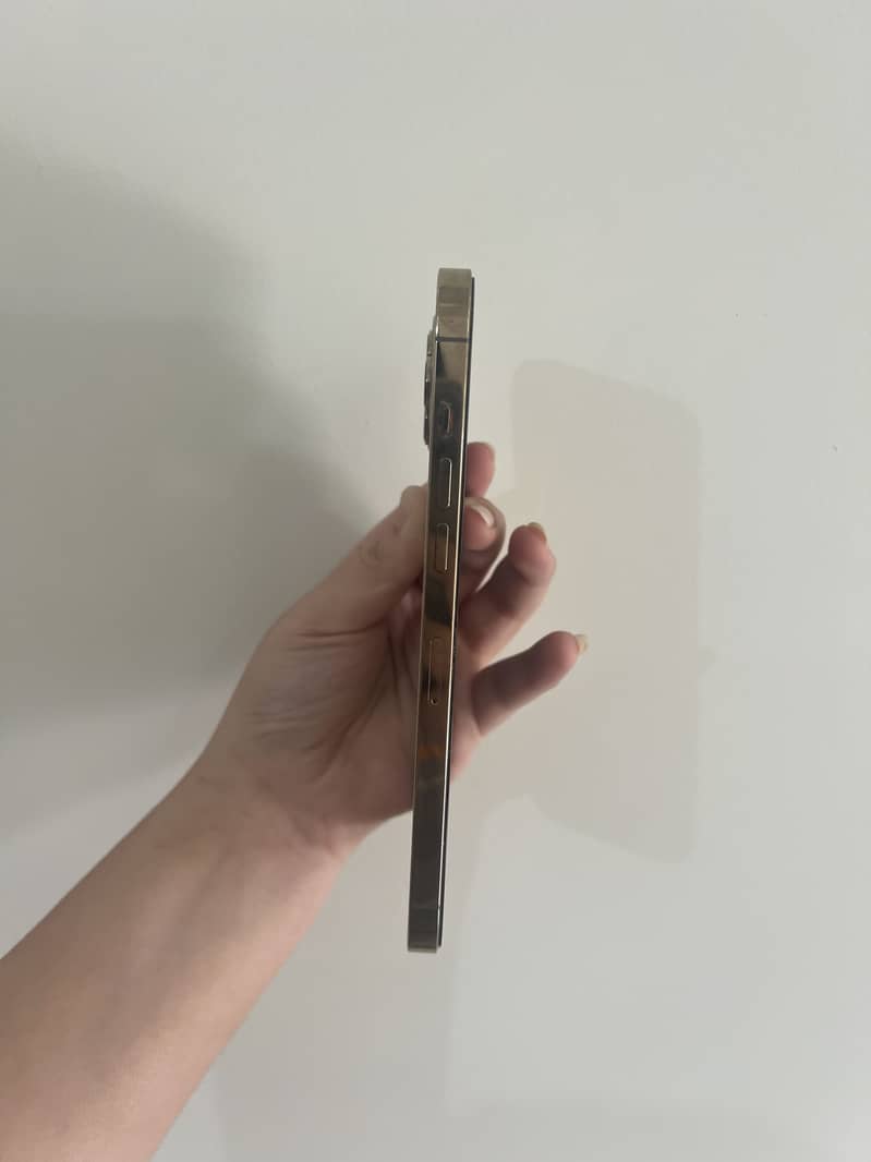 Apple iPhone 12 Pro Max 3