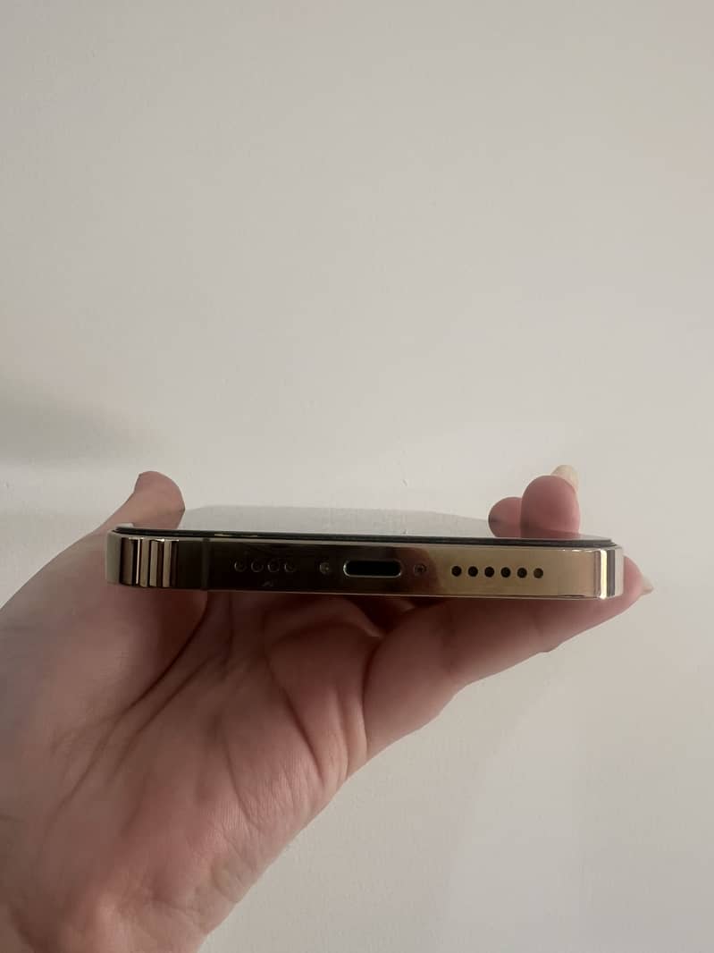 Apple iPhone 12 Pro Max 5
