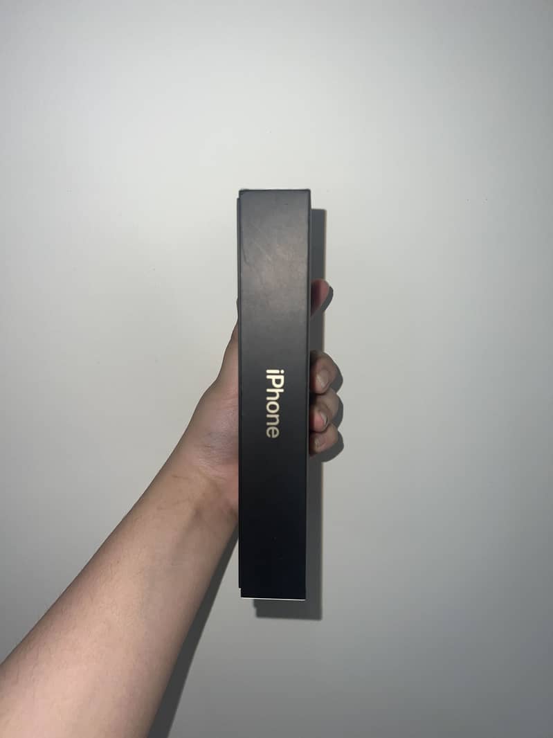 Apple iPhone 12 Pro Max 6