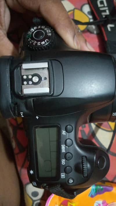 canon 60 D