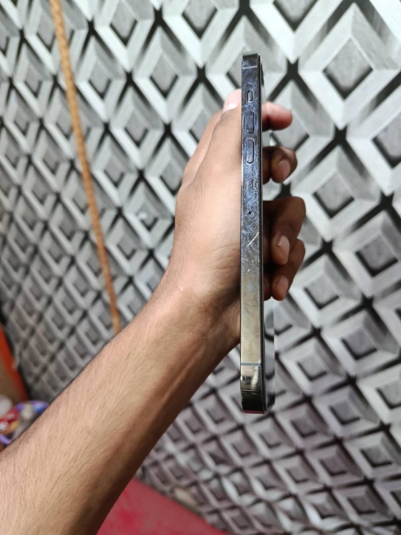 Apple iPhone 13 Pro Max 2