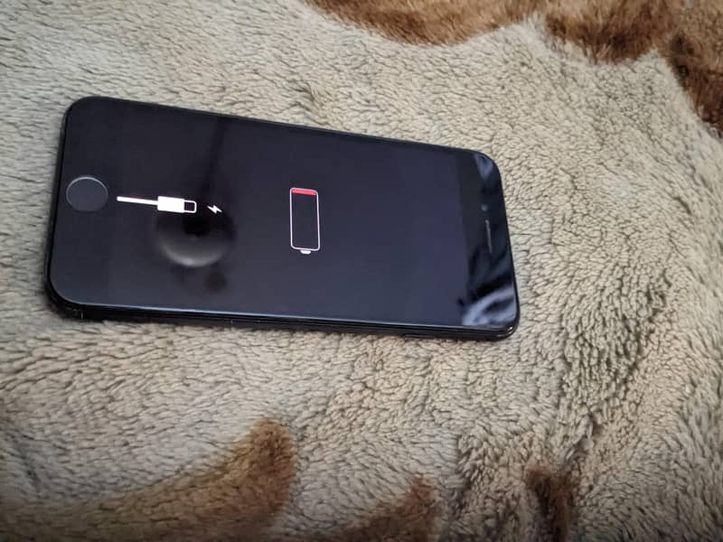 Apple iPhone 7 1