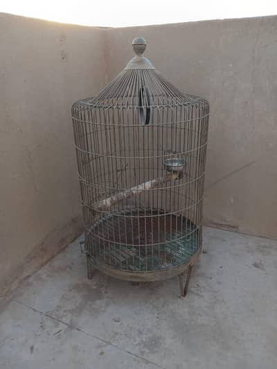 royal big size cage
