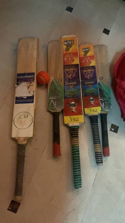 Cricket  bat