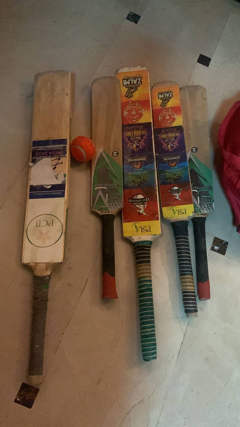 Cricket  bat 0