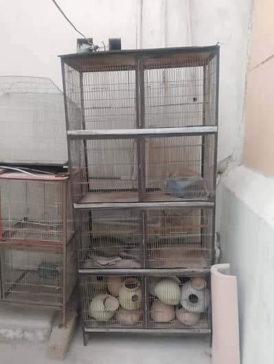 4 floor cage