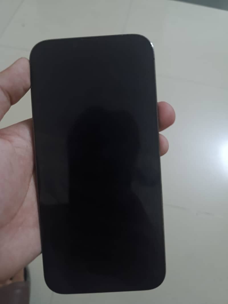 Apple iPhone 13 Pro Max 3