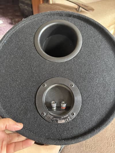 Pioneer SubWoofer 1300w