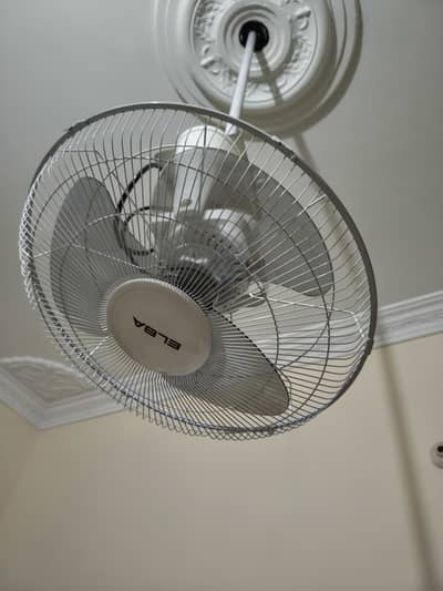 Imported fan for sell