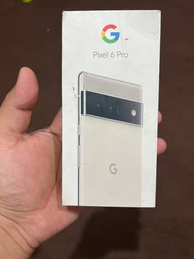 Google Pixel 6 Pro