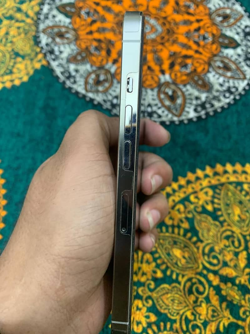 Apple iPhone 13 Pro 1