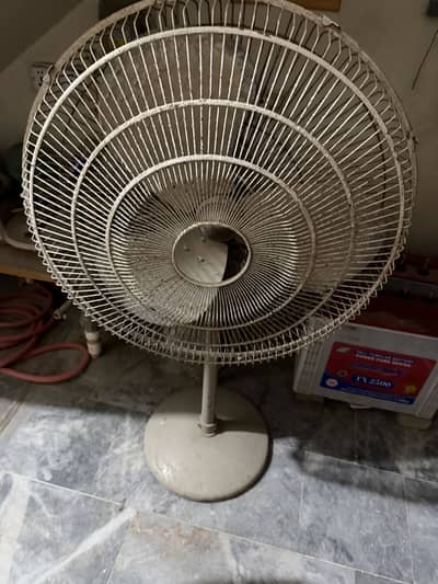 fan for sale