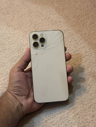 Apple iPhone 12 Pro Max pta