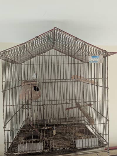 Big Size Cage for Birds Used and Rusty