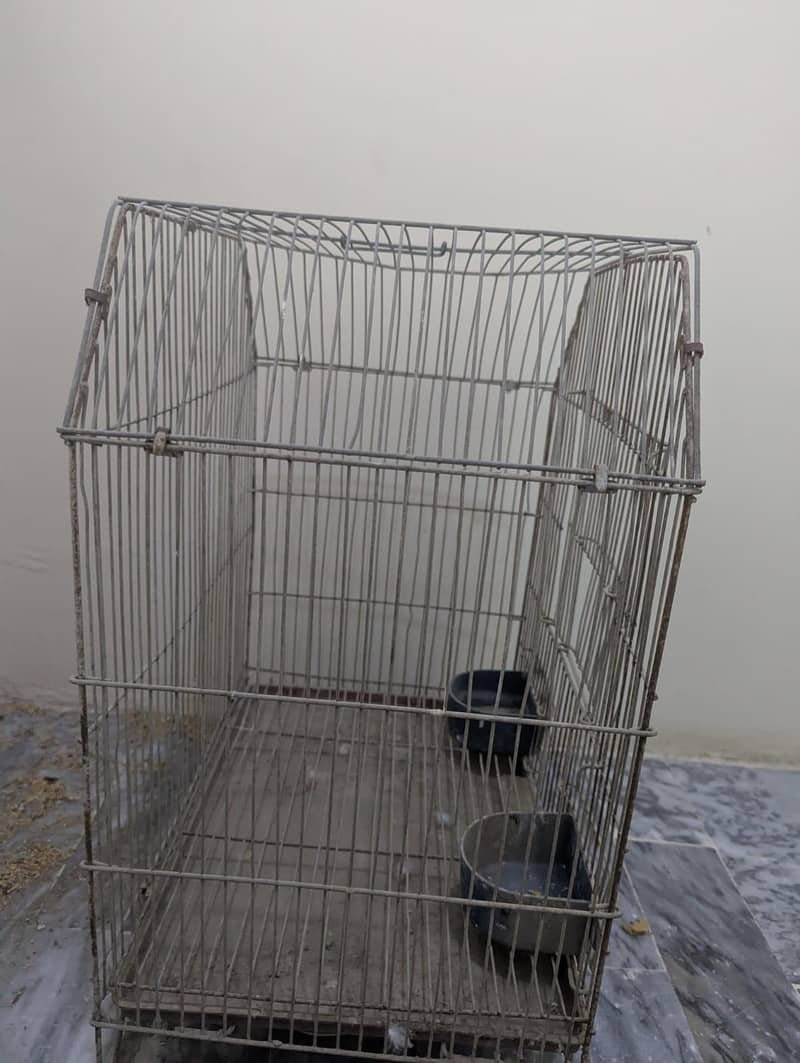 Normal Size Cage 1