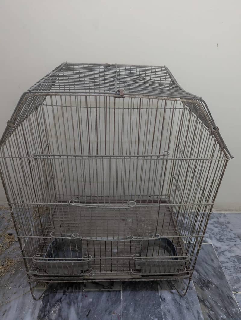 Normal Size Cage 2