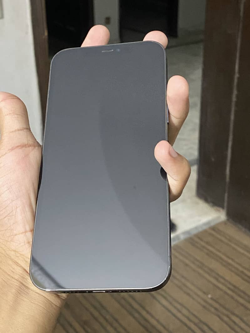 Apple iPhone 12 Pro Max 1