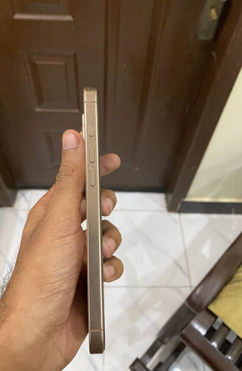 Apple iPhone 16 Pro Max 1