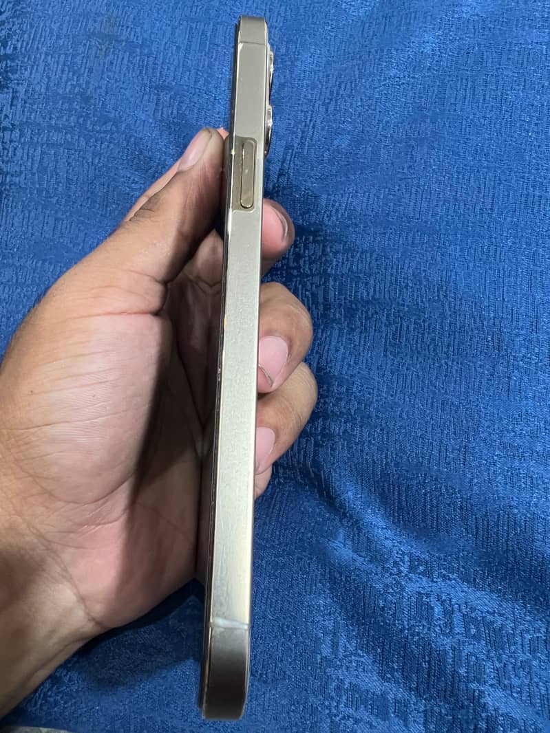 Apple iPhone 12 Pro Max 2