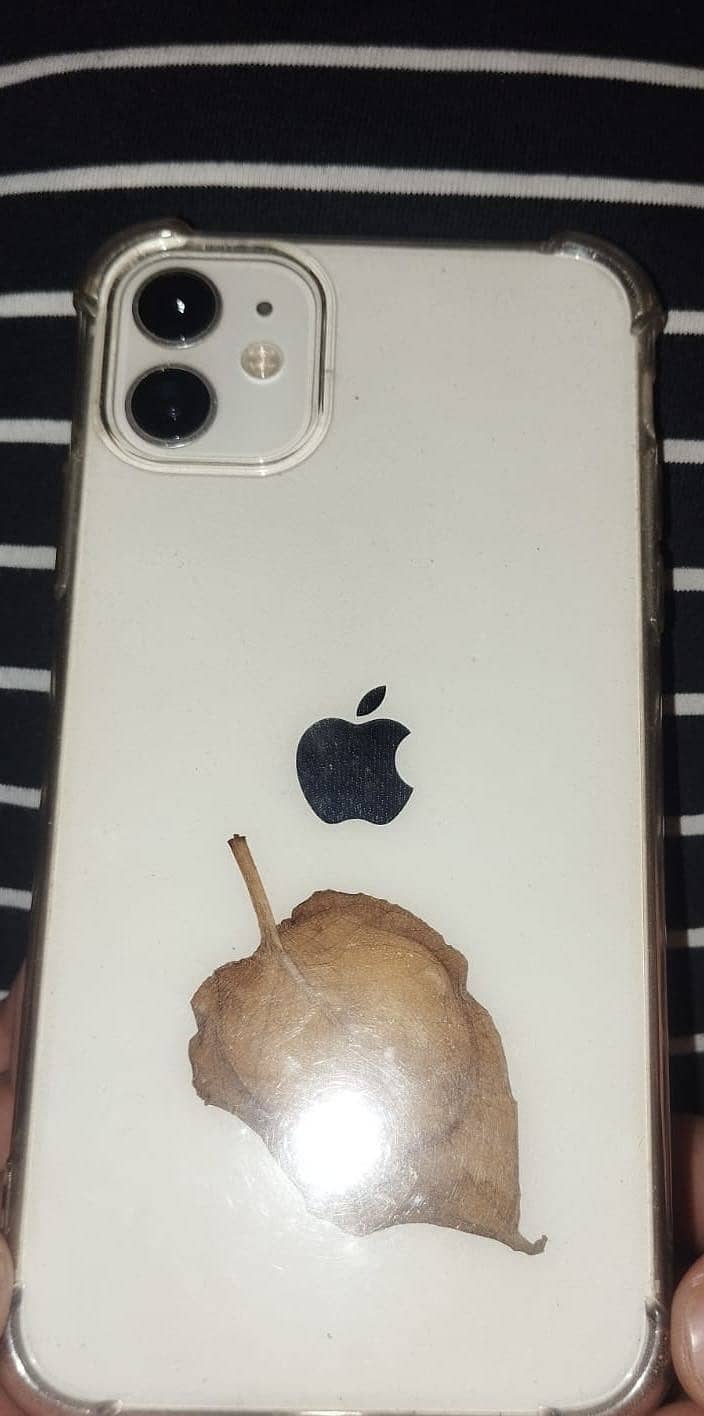 Apple iPhone 11 0