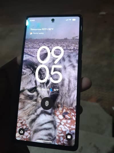 Google Pixel 6a cp Approved