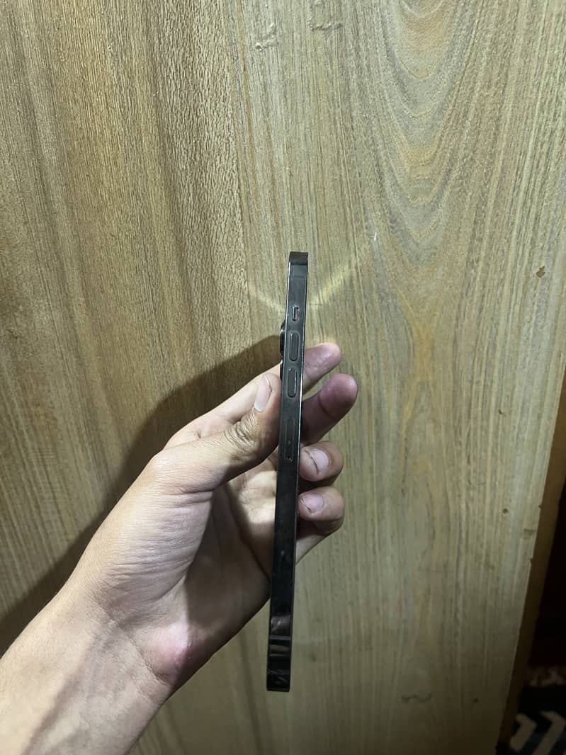 Apple iPhone 13 Pro Max 1