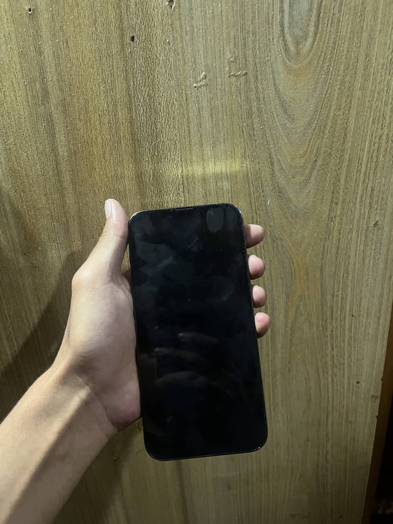 Apple iPhone 13 Pro Max 2