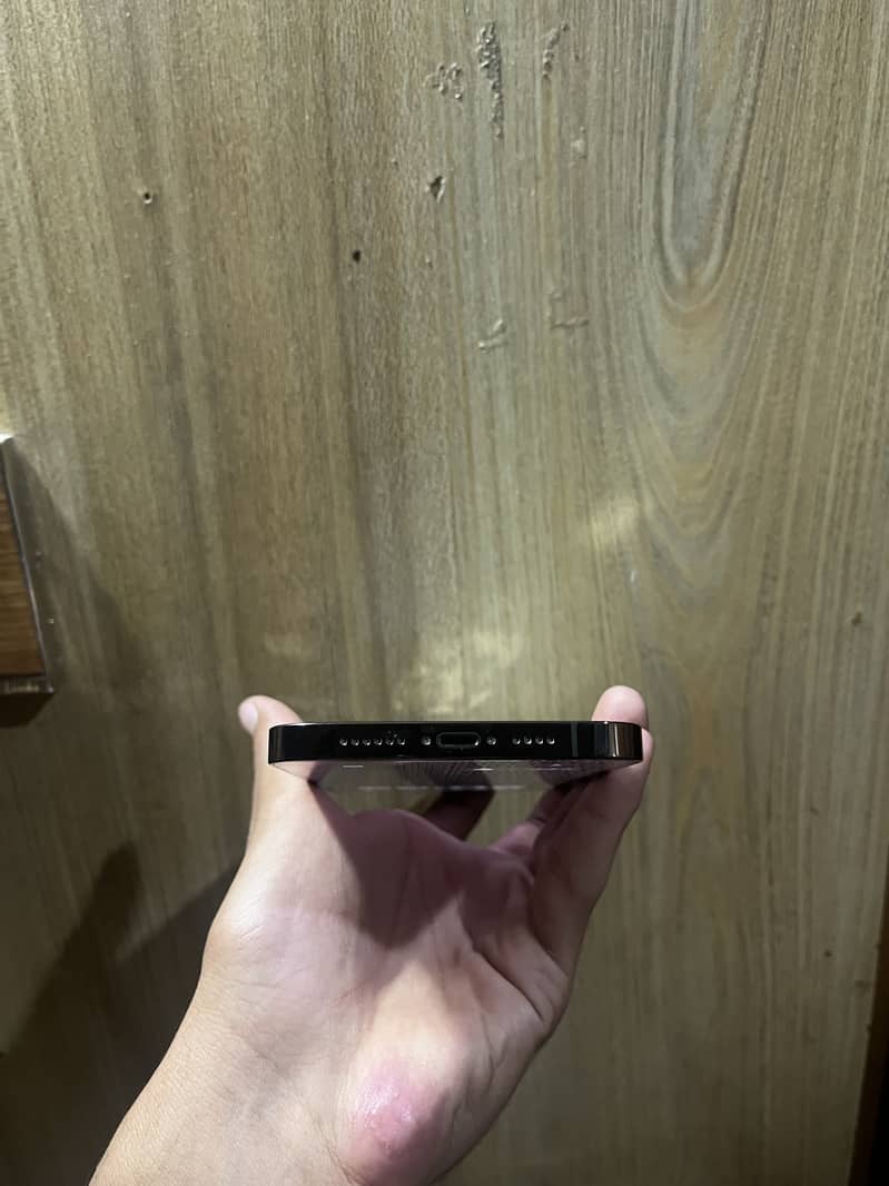 Apple iPhone 13 Pro Max 3