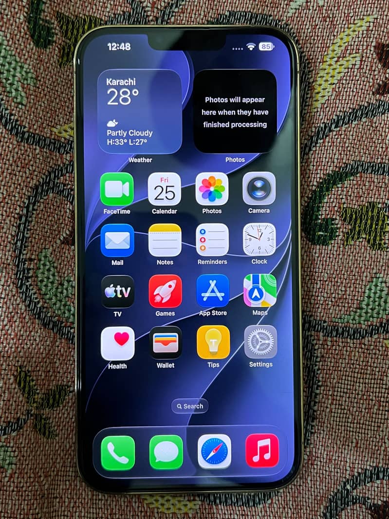 Apple iPhone 13 Pro Max 1