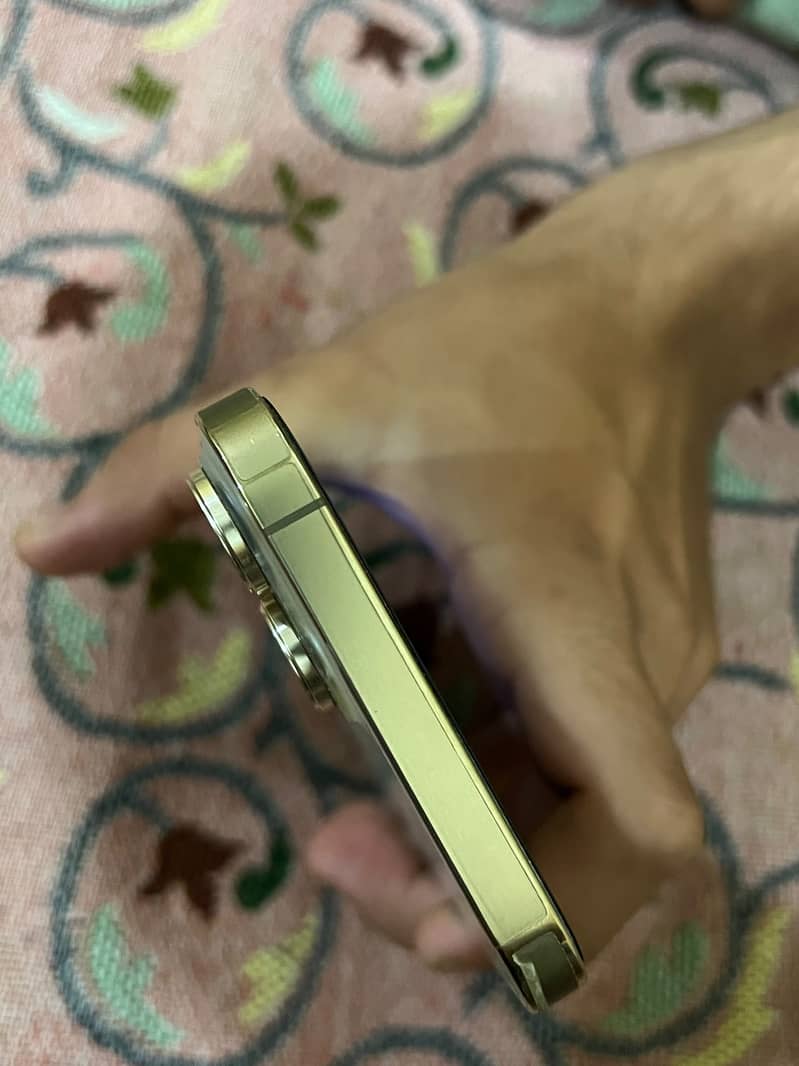 Apple iPhone 13 Pro Max 2