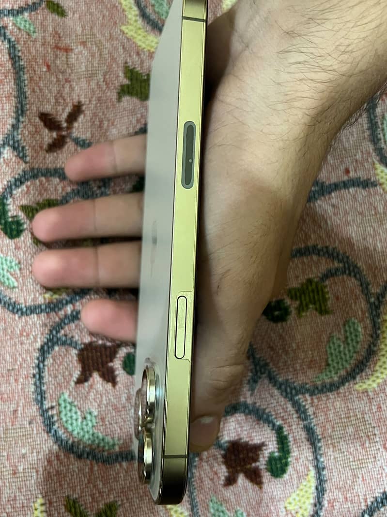 Apple iPhone 13 Pro Max 3