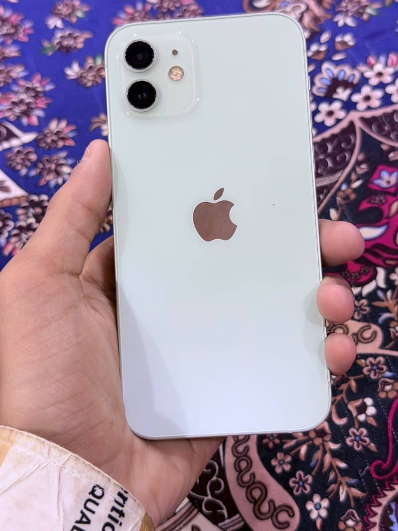 Apple iPhone 12 1
