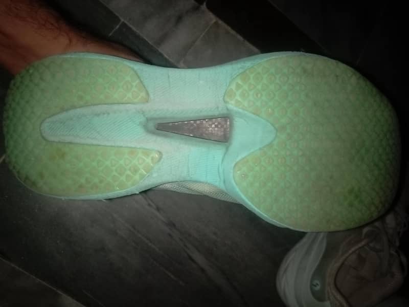 Shoes 1