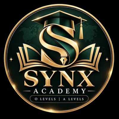 Synx Acadmey Contact No 03165131297