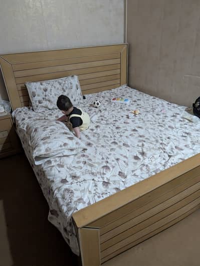 Master Molty Ortho Mattress Queen size