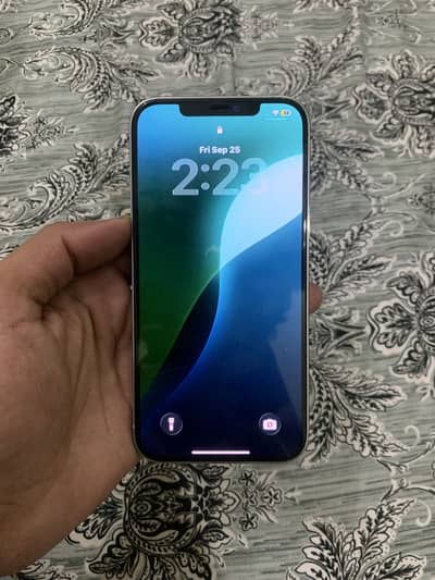 Apple iPhone 12 Pro Max