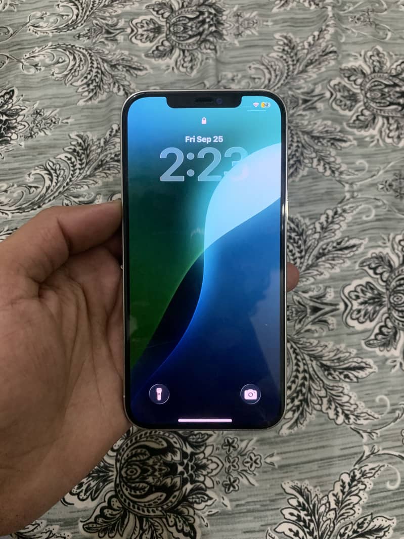 Apple iPhone 12 Pro Max 0