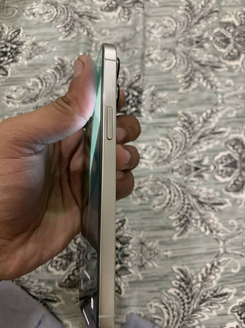 Apple iPhone 12 Pro Max 1