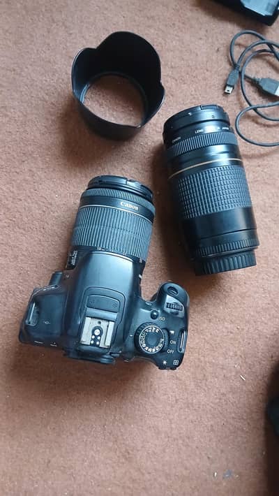 Canin 650 D