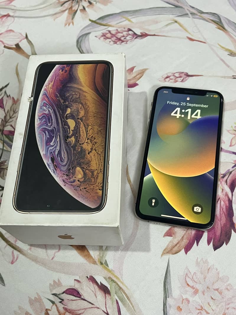 Apple iPhone XS 3
