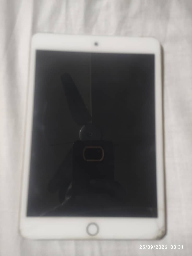 Apple iPad Mini 3 11