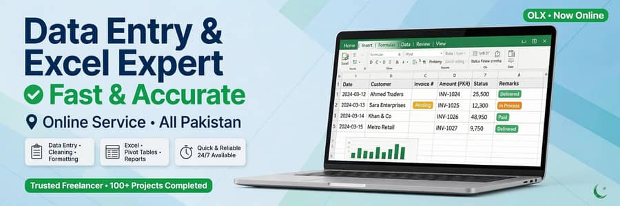 Data Entry & Excel Expert - Online Service