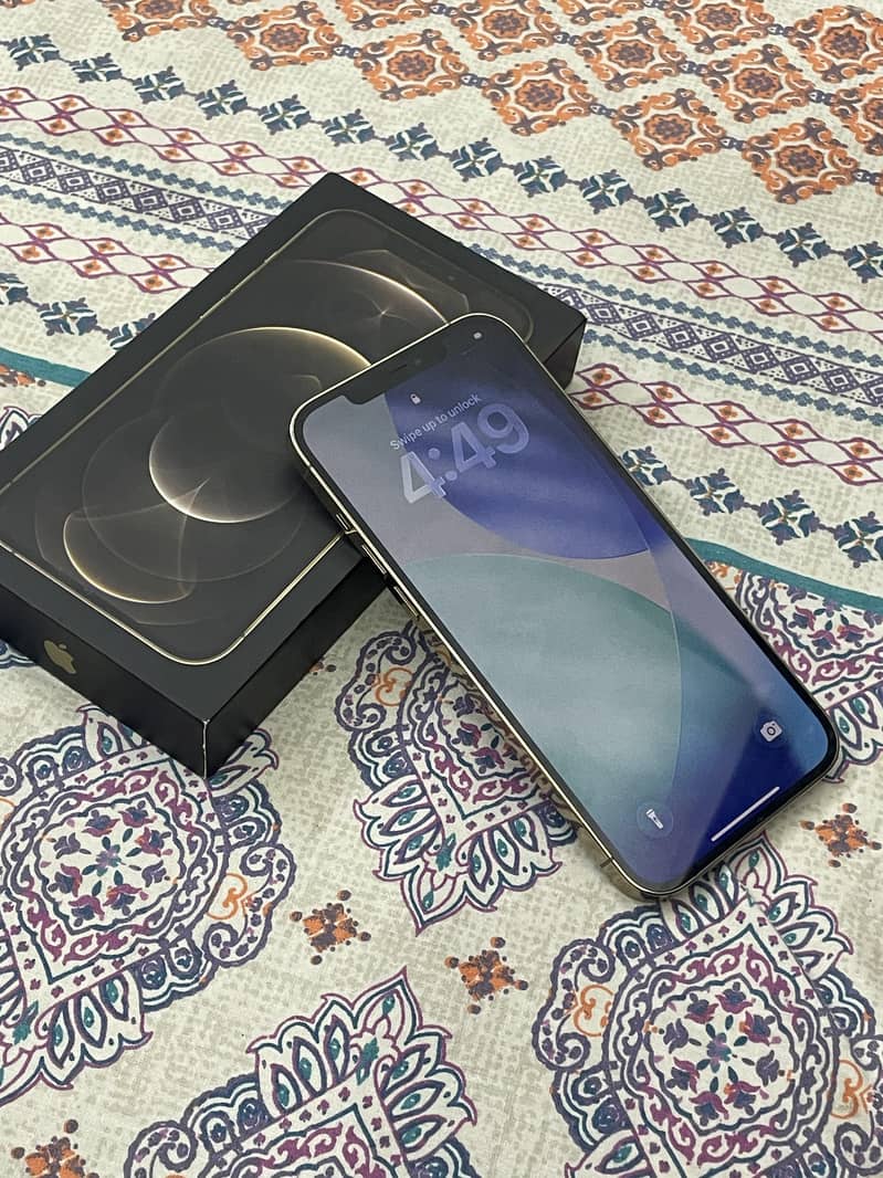 Apple iPhone 12 Pro Max 1