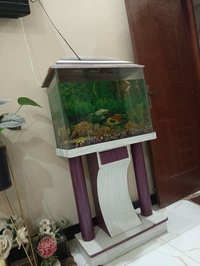 Aquarium